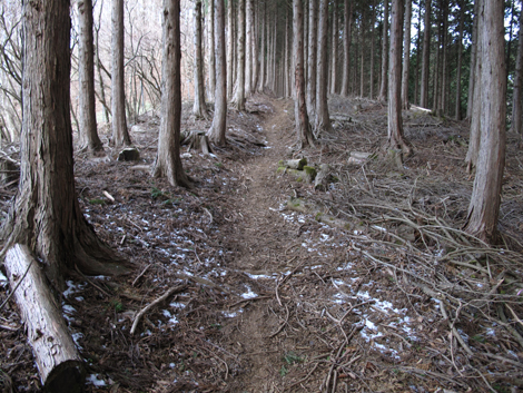20181214hike (498)